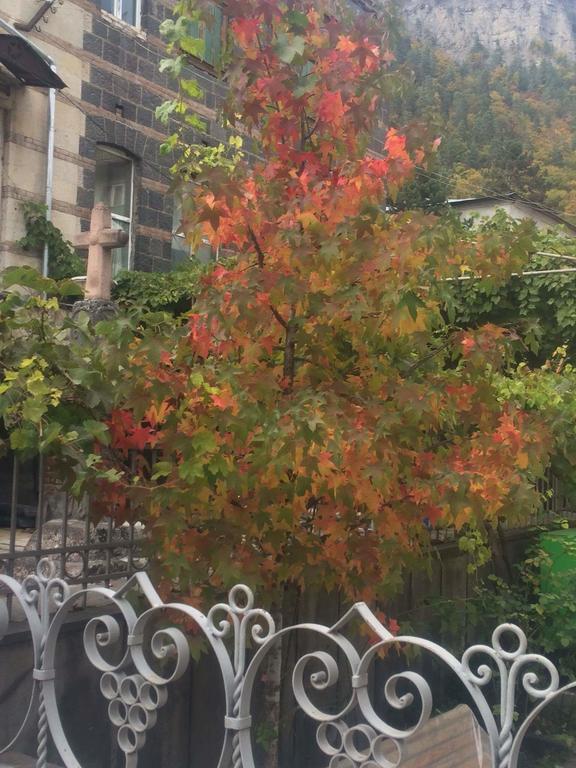 فندق بورجوميفي  Old House Rustaveli المظهر الخارجي الصورة